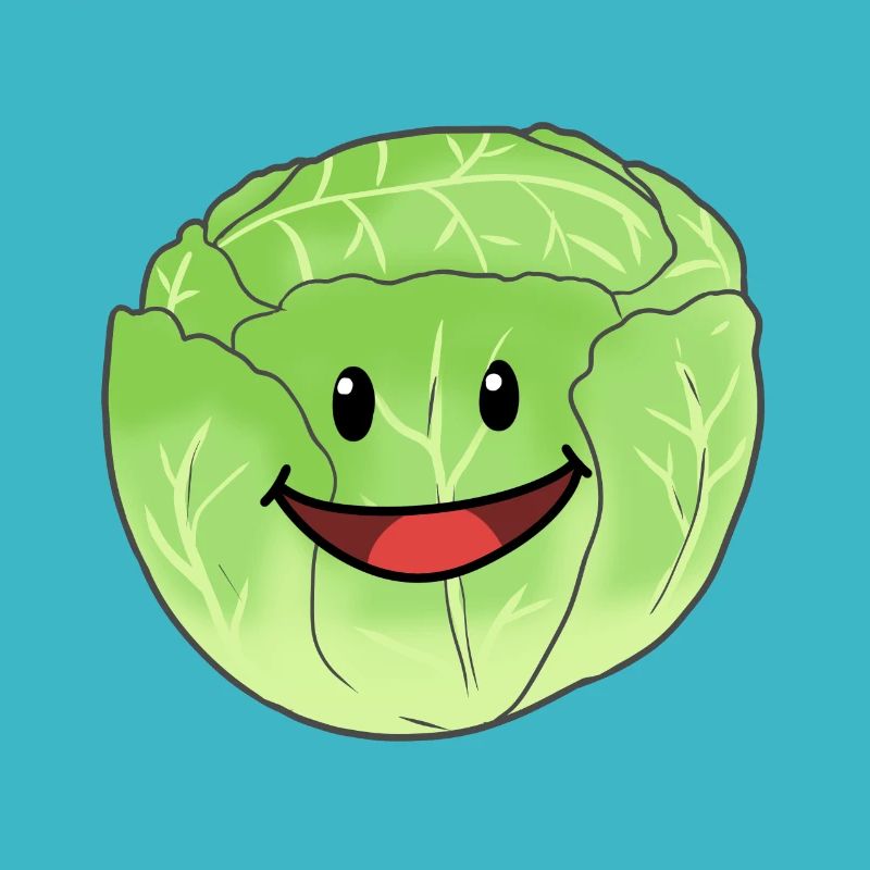 White Cabbage Vegetable Cabbage Head Cabbage Food Vegan