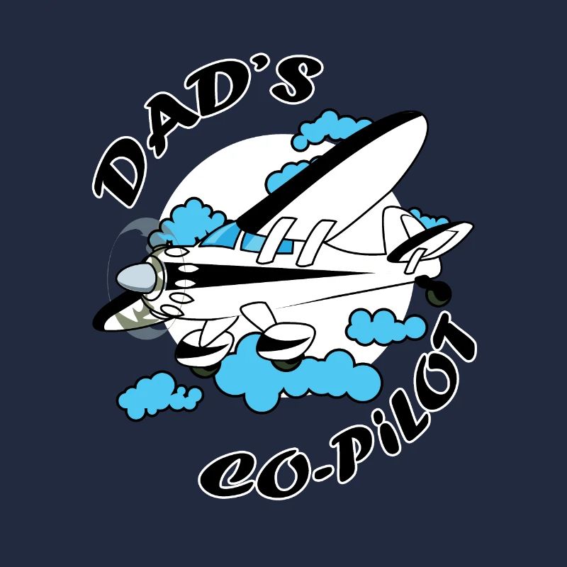 Co Pilot Pilot Aircraft