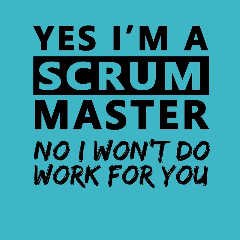 Scrum Master Gift Certified Scrum Master