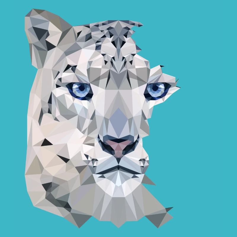 Snow Leopard Split