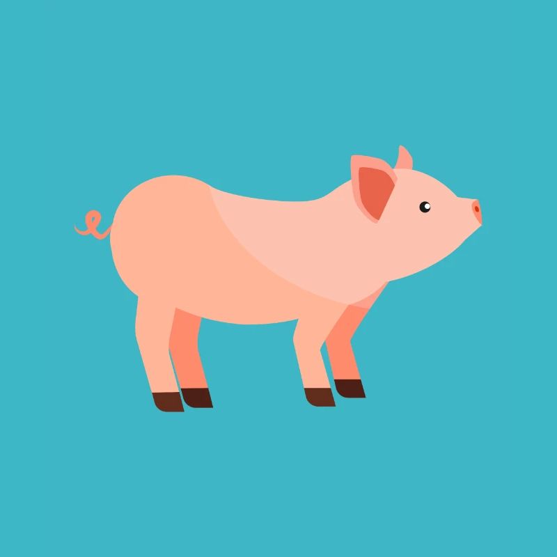 pig