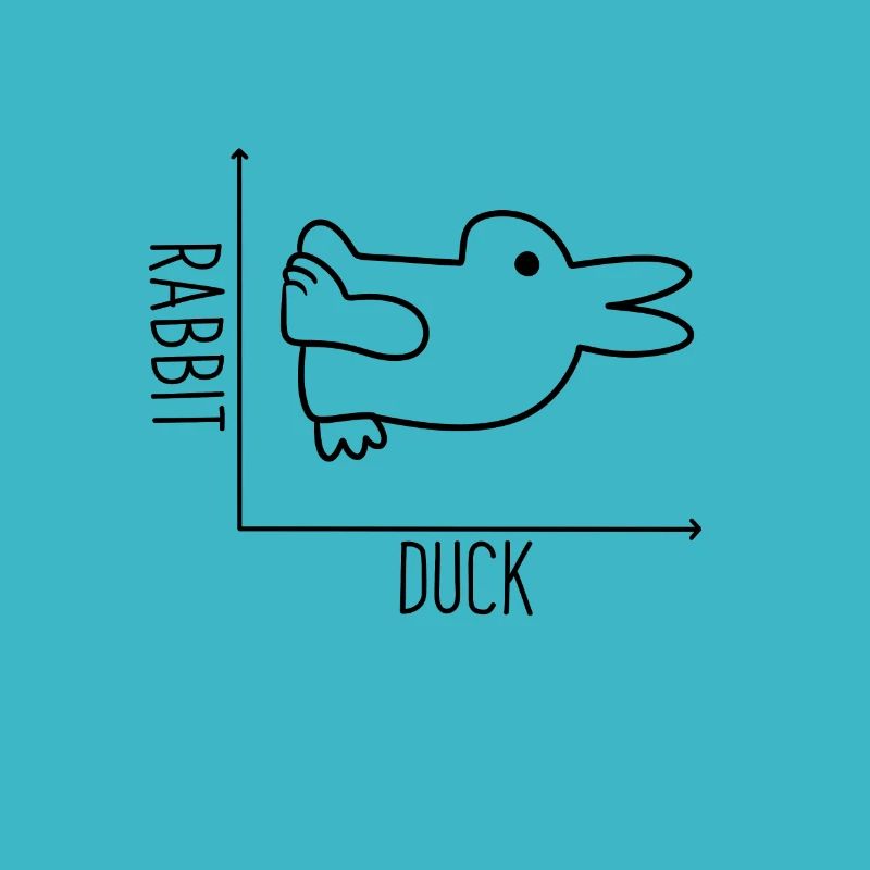 Duck x Rabbit Graph Canard x Lapin Graph