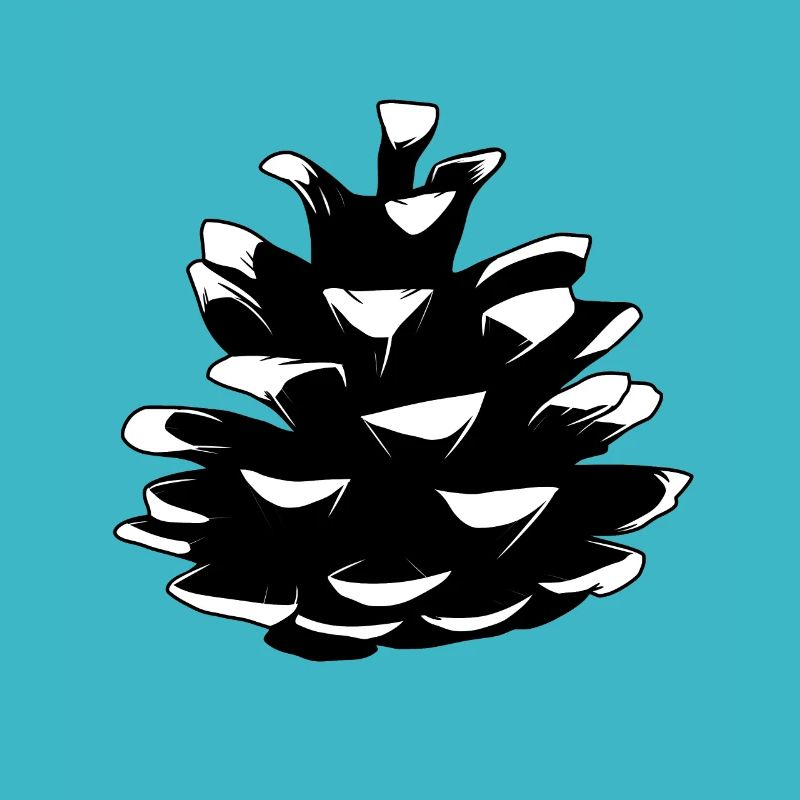 Pine pine cones Pine cones Forest Natural tree