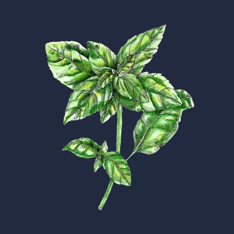 basilic