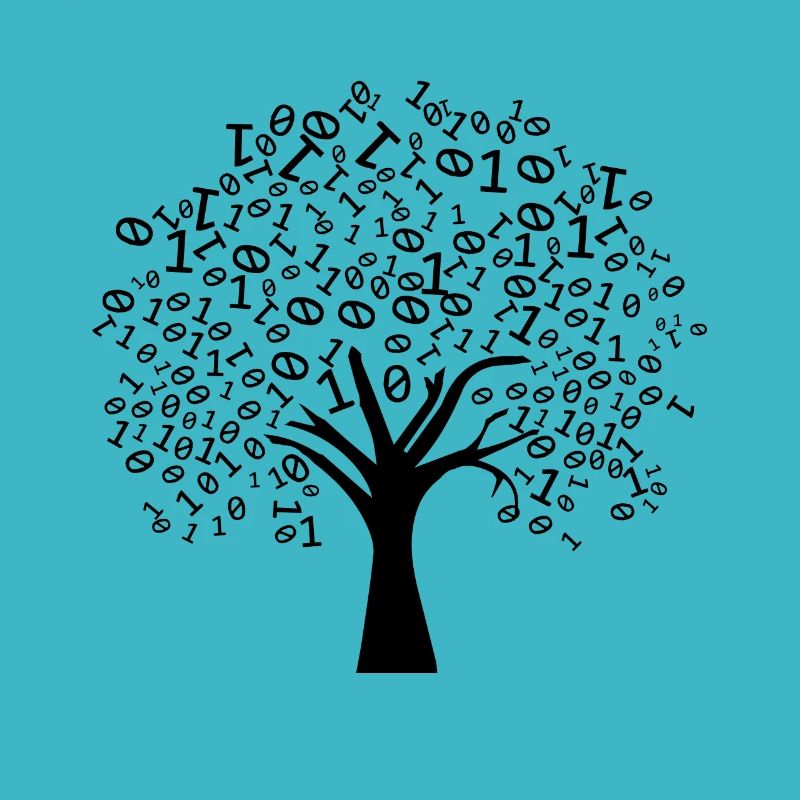 Programmer Binary Tree