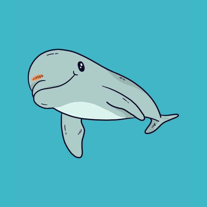 dolphin