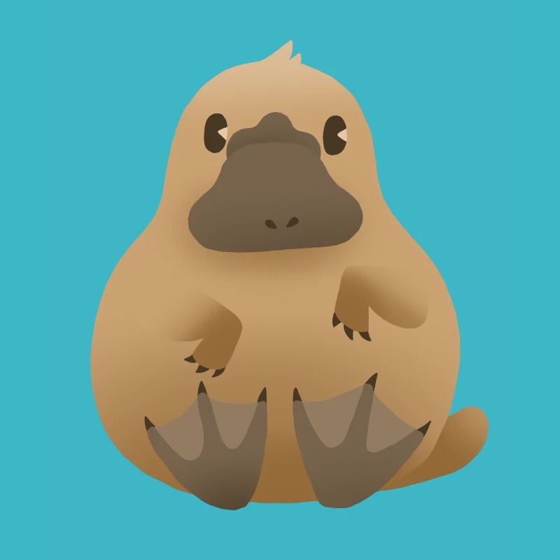 Ornithorynque (ornithorynque)