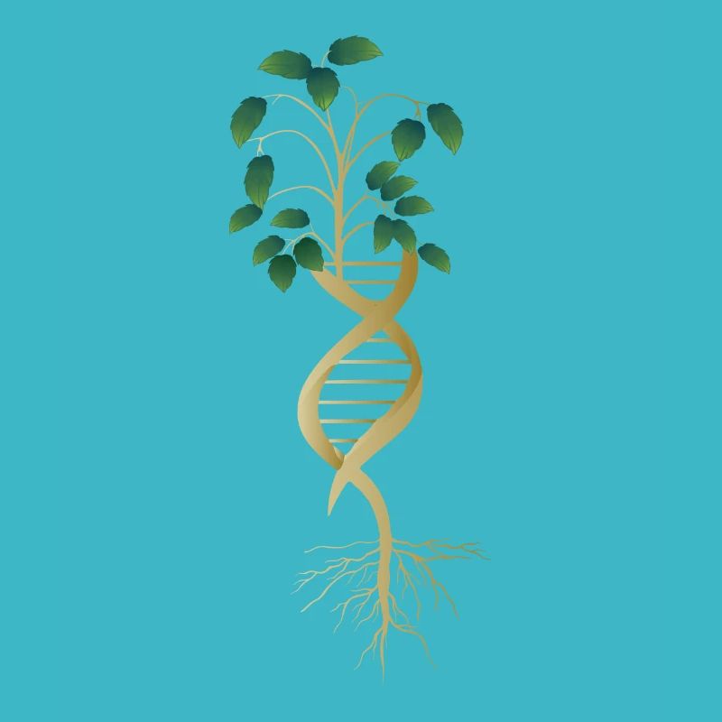 DNA Tree Life Earth Genetics Biology Science