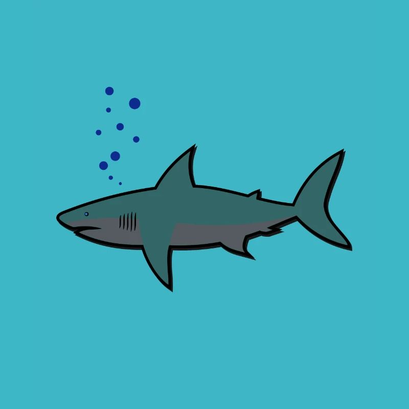 Shark, shark,
