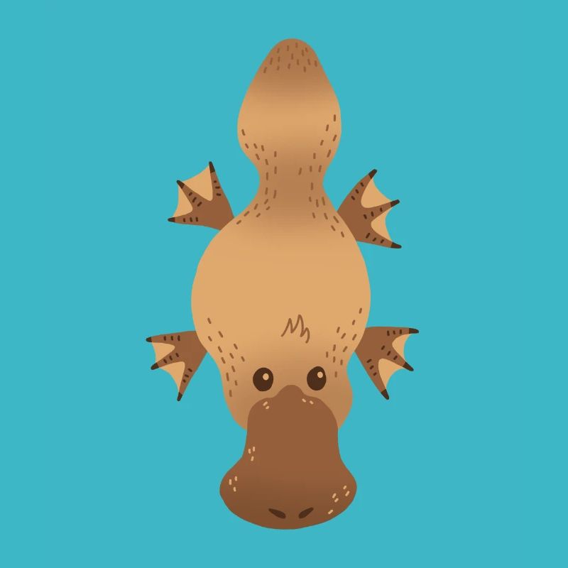 Ornithorynque