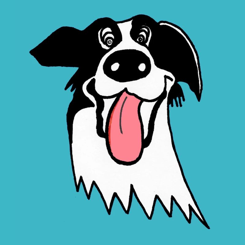Netter Border Collie