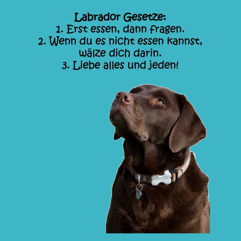 Die Gesetze eines Labradors