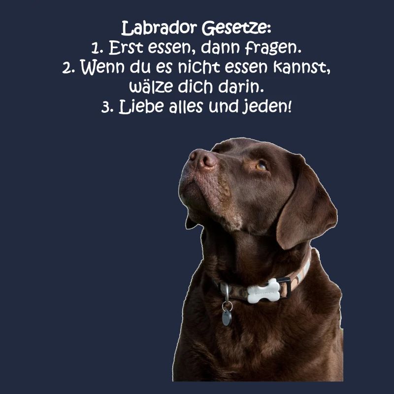 Die Gesetze eines Labradors