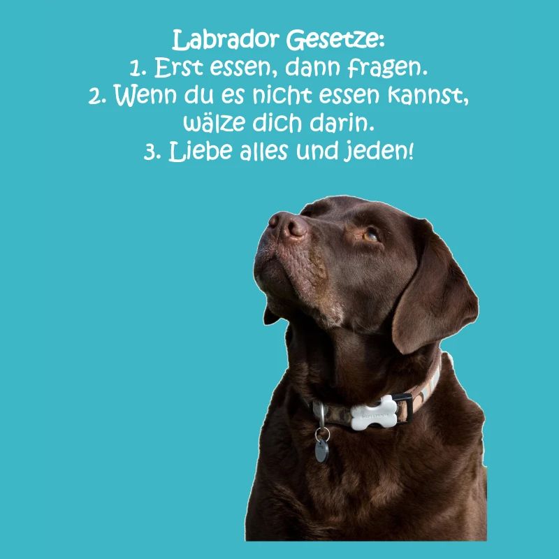 Die Gesetze eines Labradors