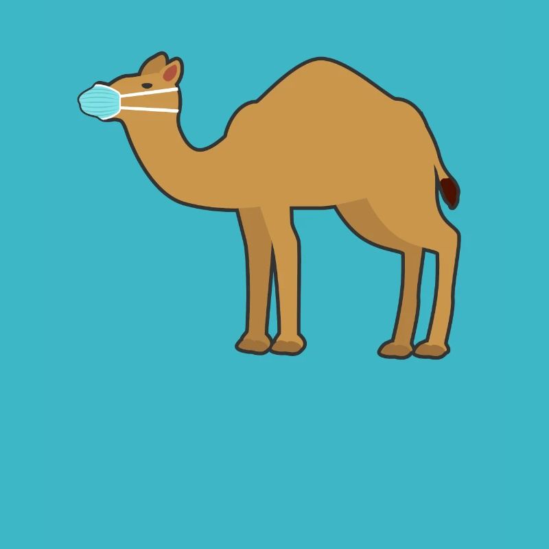 camel