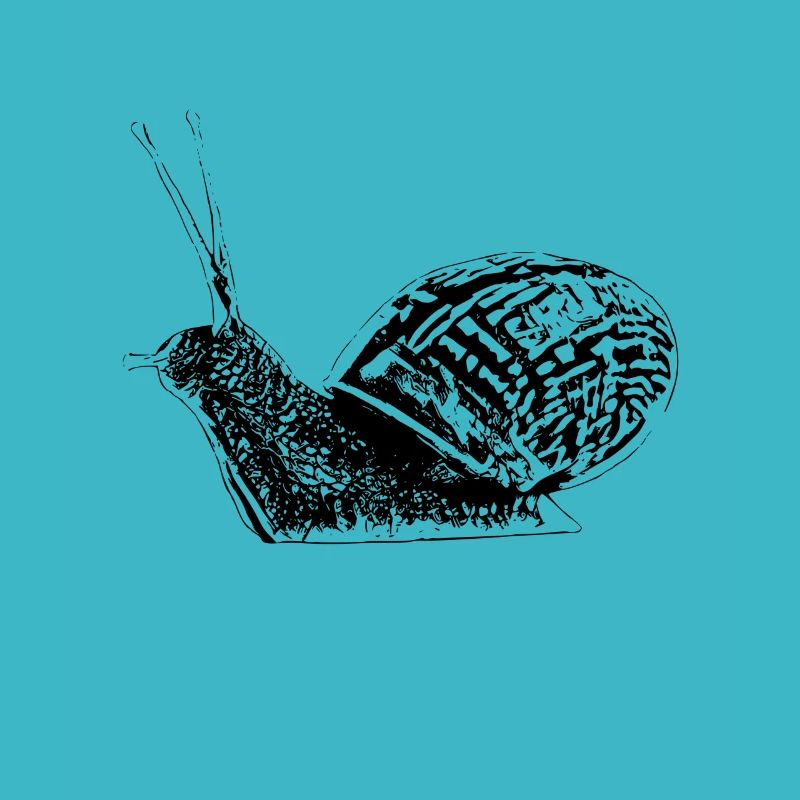 Schnecke