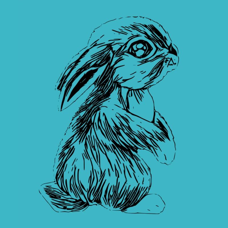 Lapins