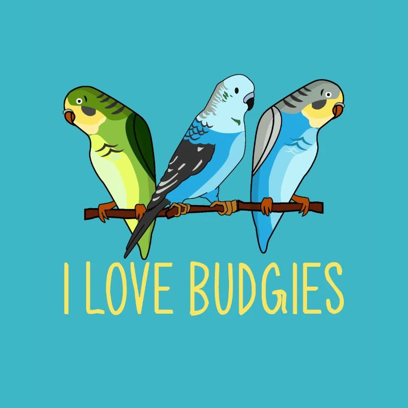 Budgie, Budgie Vintage, Budgie