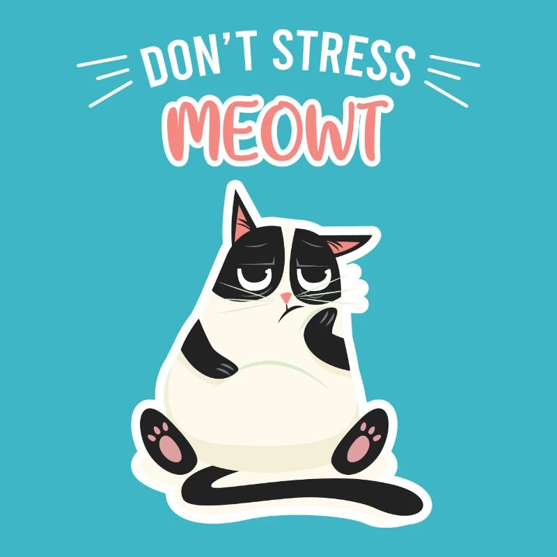 Ne stresse pas le chat