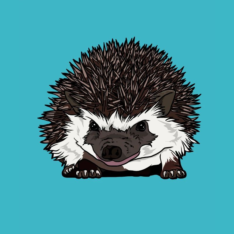 cadeau drôle de visage de hérisson pour les amis de hérisson