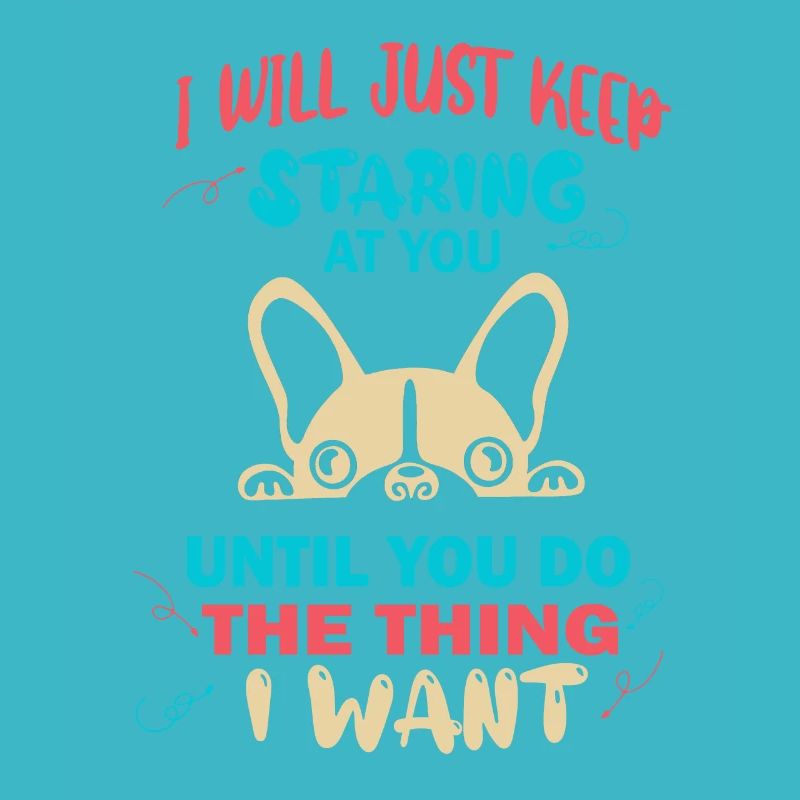 Boston Terrier, Boston Terrier, Boston Terrier