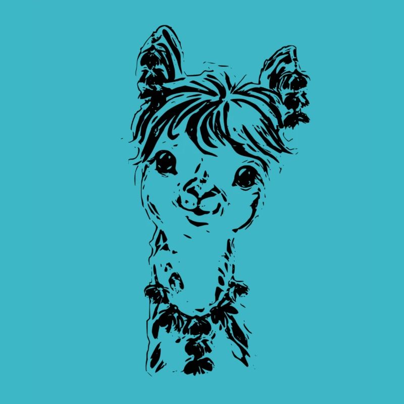 alpaca