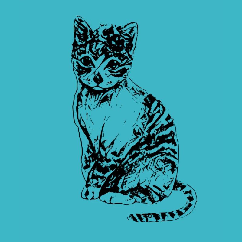 Chats
