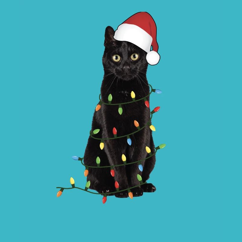 Chat noir de Noël