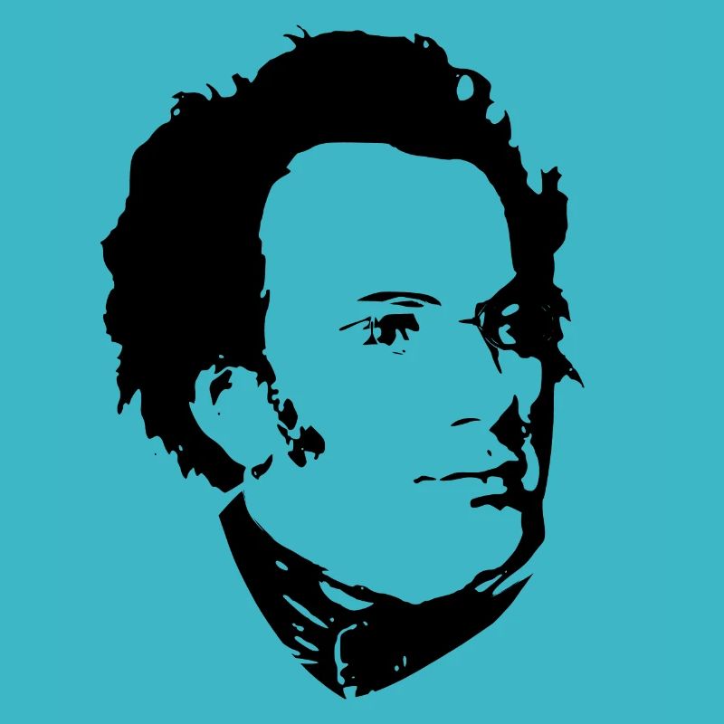 Franz Schubert Cool Propaganda Pop Art
