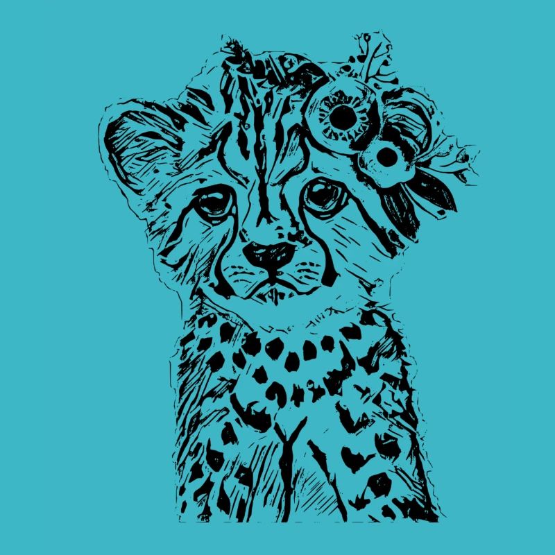 cheetah
