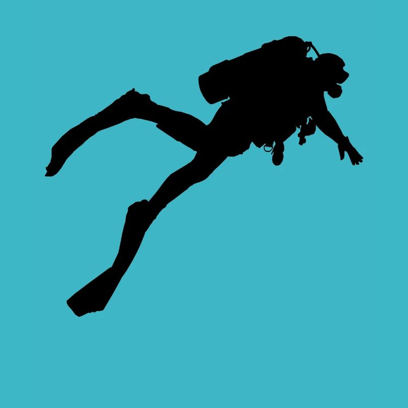 Plongée Plongée Dive Apnée