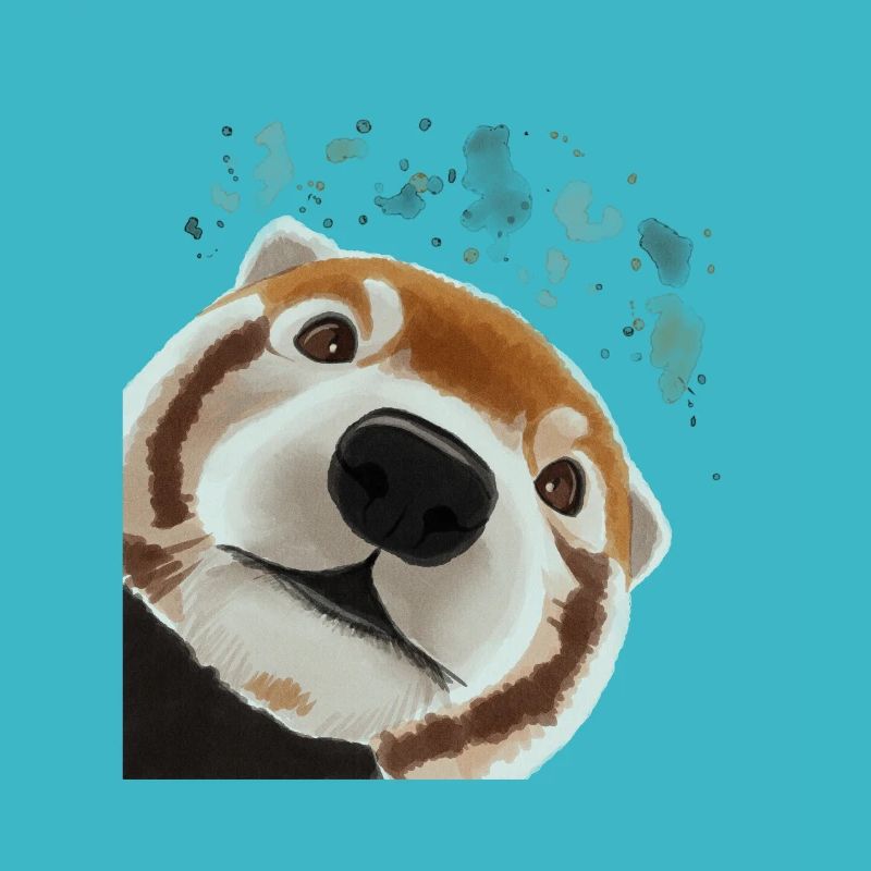 Curious Red Panda