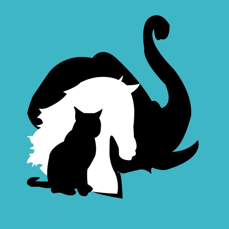 Éléphant cheval chat animaux conception