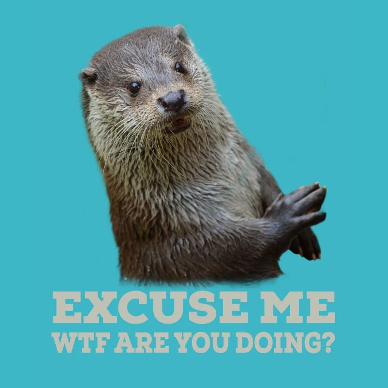Otter Funny Saying Funny Excuse Me Gift