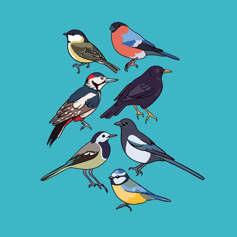 Oiseaux de jardin Oiseaux