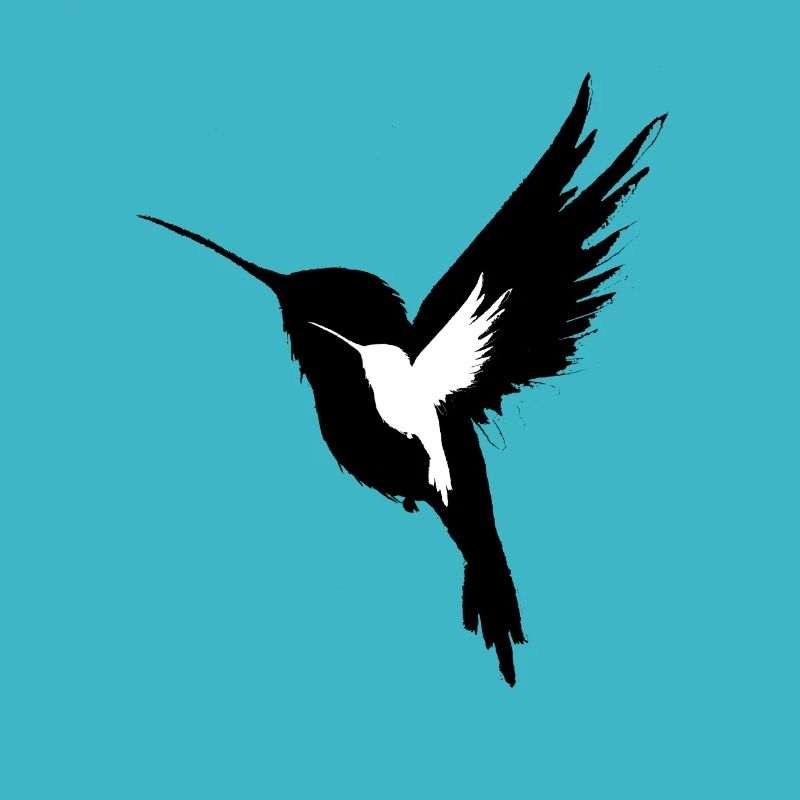 Kolibri - Black and White