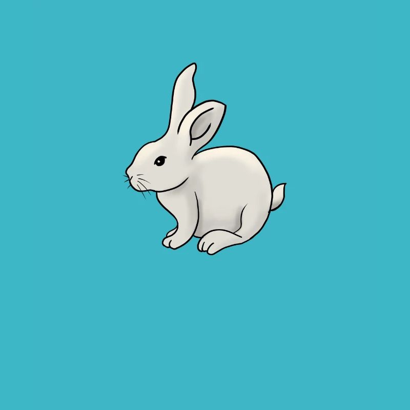Cute hand-drawn rabbit