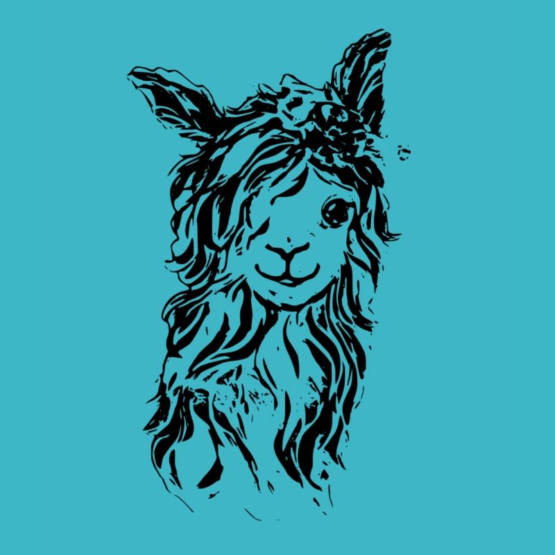 alpaca