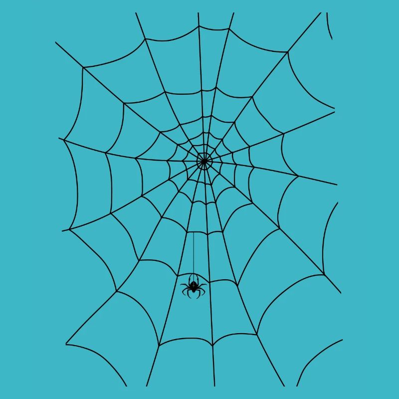 Spinnennetz, Spinne, Spinne im Netz