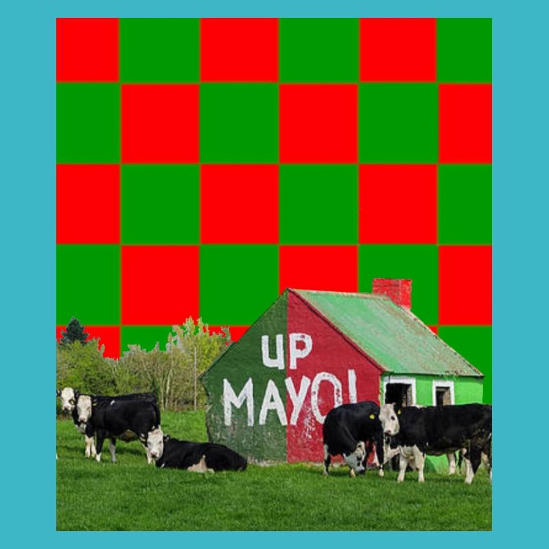 Comté de Mayo GAA
