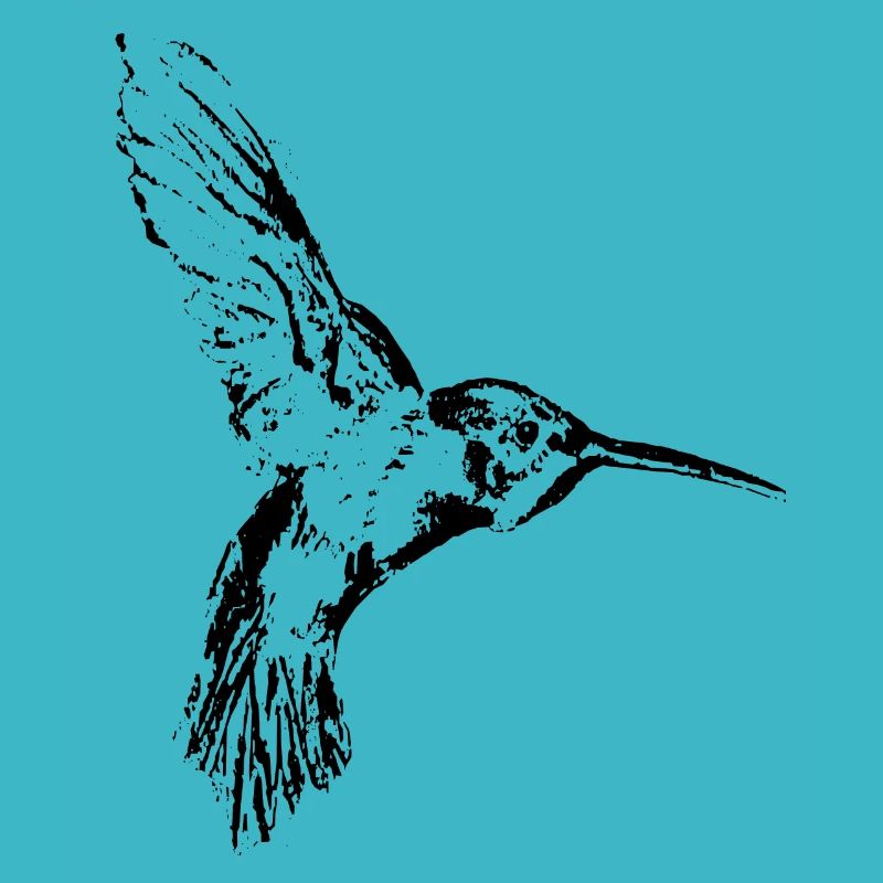 Kolibri schwarz