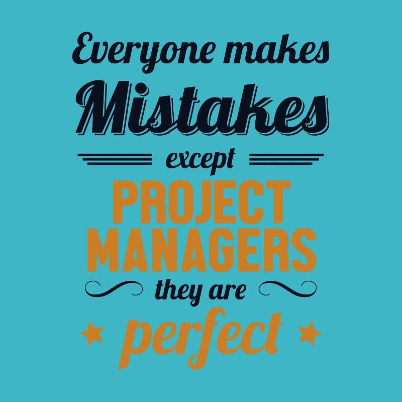 Project Manager are Perfect Project Engineer