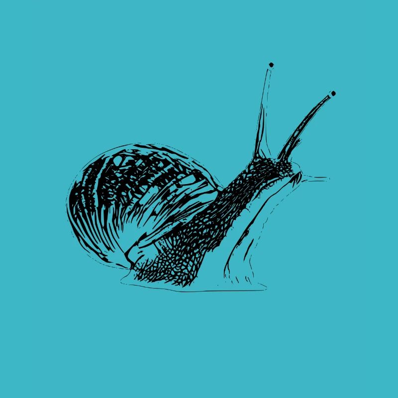 snail