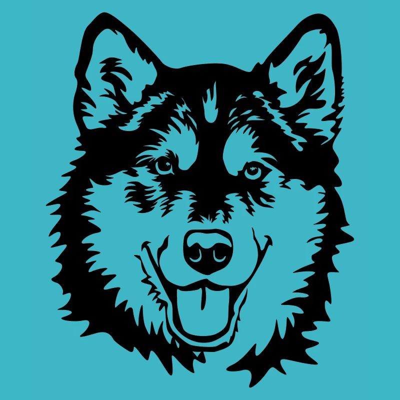 Alaskan Malamute head
