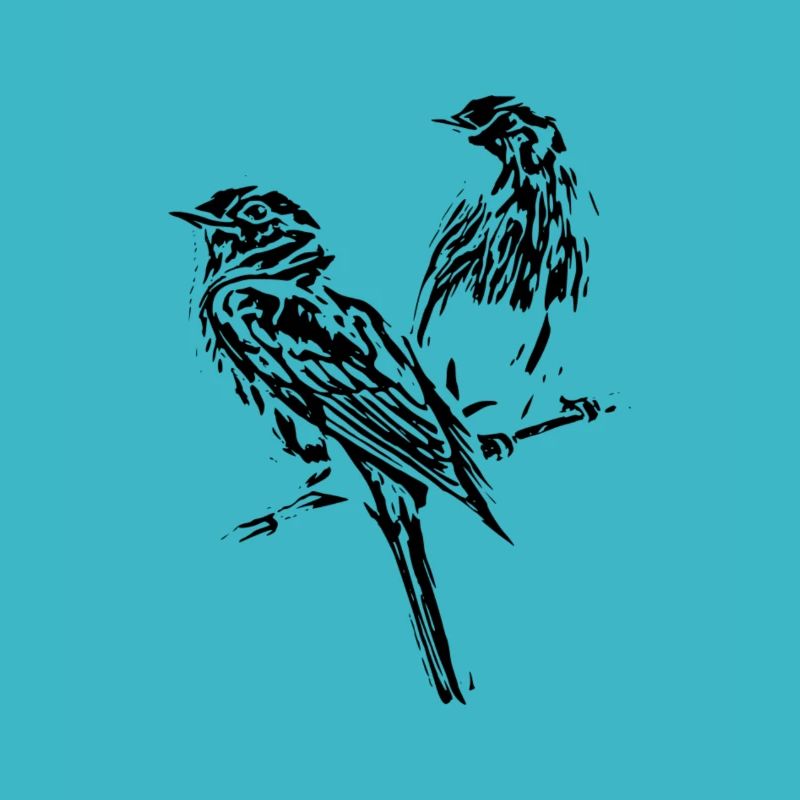birds