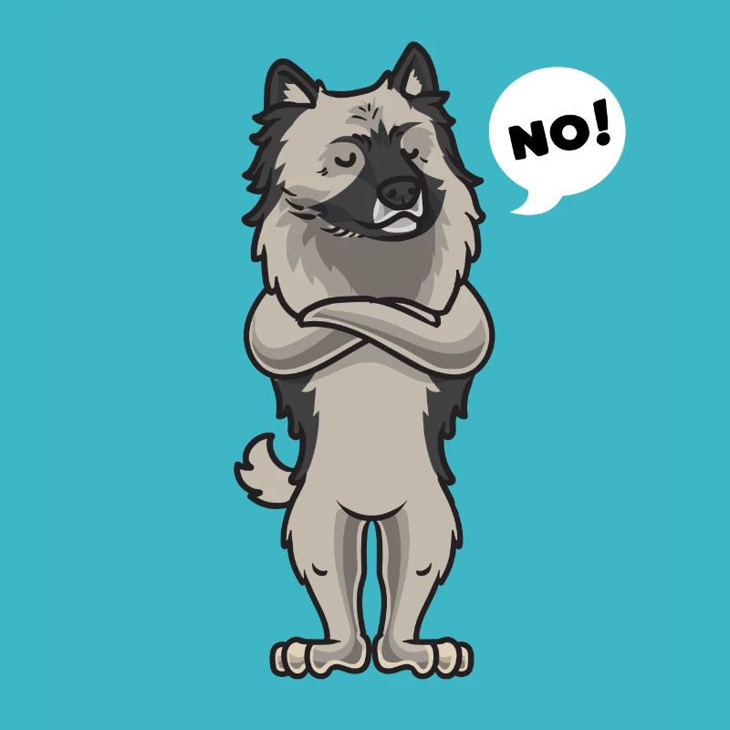 Têtu Wolfsspitz Keeshond