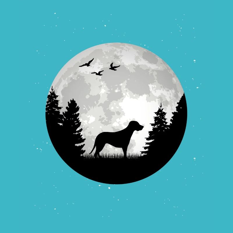 Brandlbracke Moon Bracke Chien Chasse