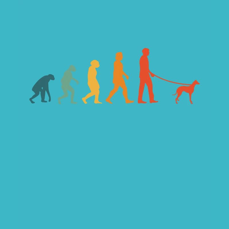 Whippet Evoluition Rétro lévriers Sighthound