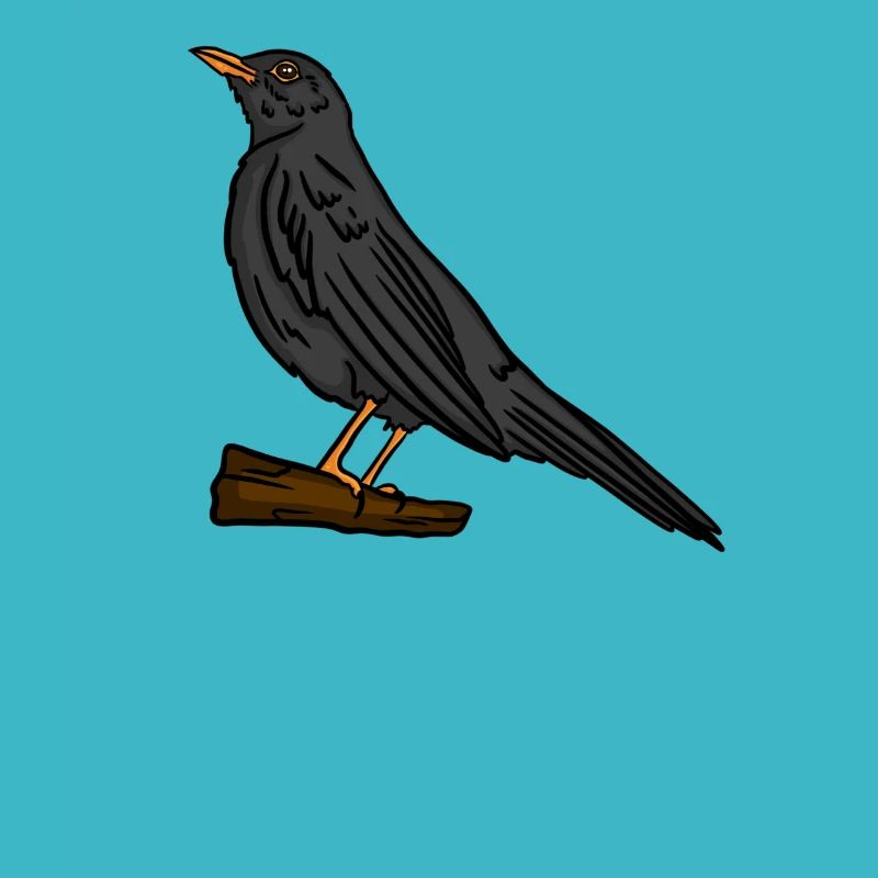 Blackbird Black Thrush Bird Lover Gift