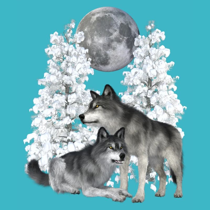 Wolf, Wölfe im Winter